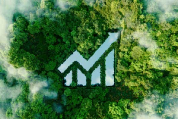 万腾Vatee 2026.02.11原油市场分析报告